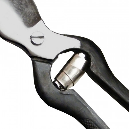 secateur professionnel