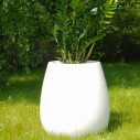 pot design avec plante