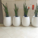pot moderne silba