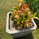 Feutre de Paillage pour Plante en Pot d'Extérieur