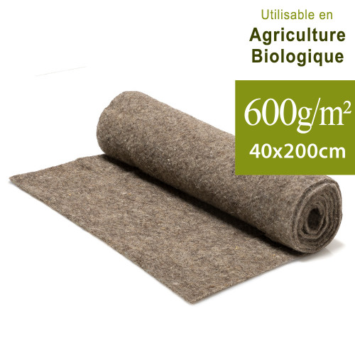 Paillage en feutre de laine utilisable agriculture biologique