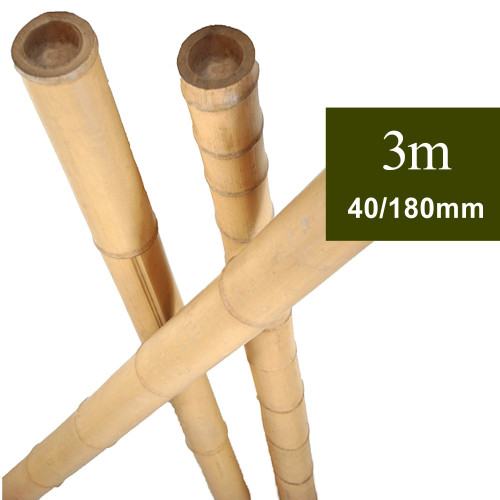Tuteur Bambou 3m