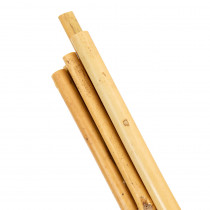 Bambou en Tuteur Plante 1m50 2