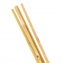 Tuteur Plante en Bambou naturel 60 cm 2