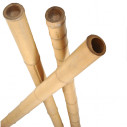 bambou de tuteurage des arbres 3m