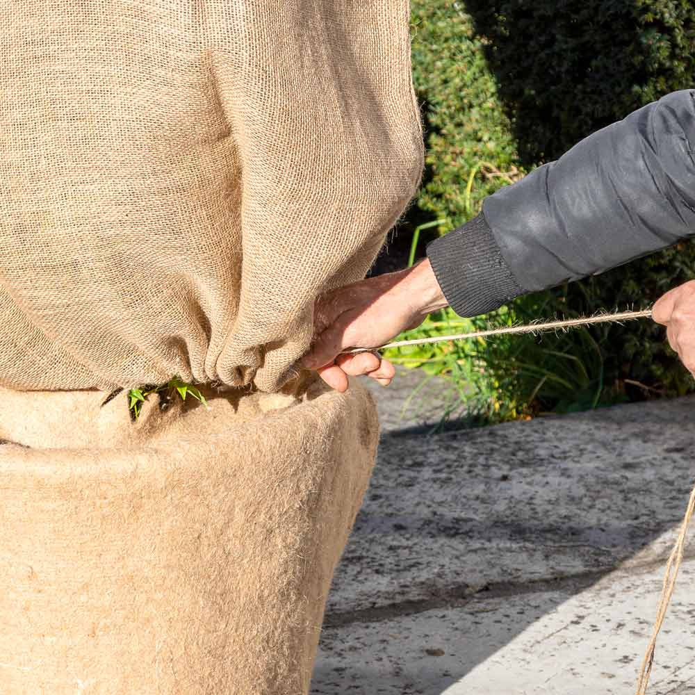 Jardin : voile d'hivernage, paillagecomment bien protéger du gel vos  plantes