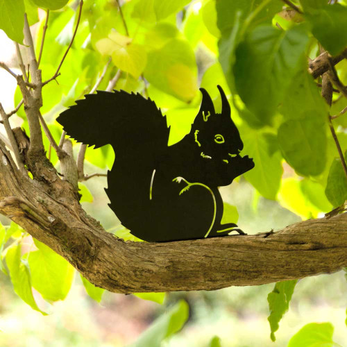 Accueillir les écureuils dans son jardin