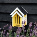 maison papillon et insecte du jardin