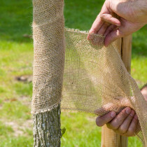 Toile de Jute 10 cm, bande 12m, pour la protection des arbres et plantes 2