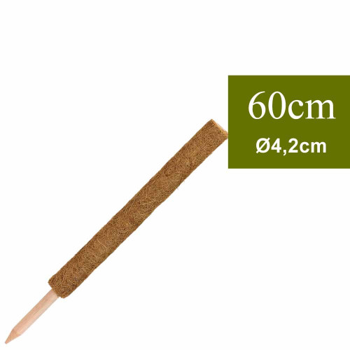 tuteur plante grimpante en coco 60cm
