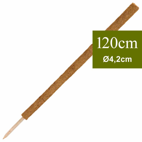 tuteur coco 120cm, grimpante