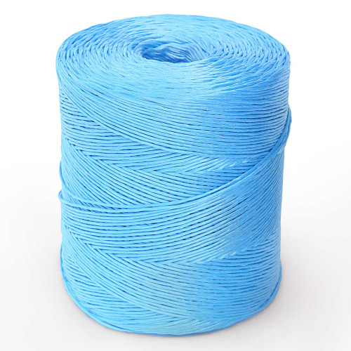 Grosse ficelle bleue