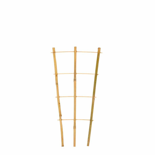 Structure de Tuteurage en Bambou