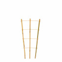 Structure de Tuteurage en Bambou