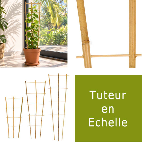 tuteur bambou en echelle 3 hauteurs