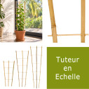 tuteur bambou en echelle 3 hauteurs