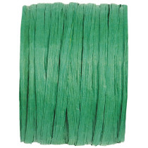 Paper raphia 2