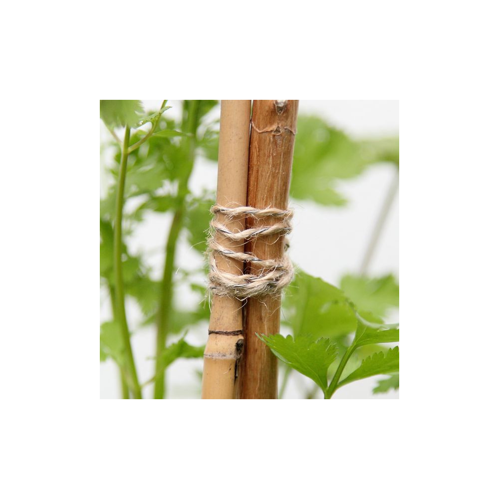 Fil d'attache de jardin, fil de support robuste pour plantes, fil de vigne  réutilisable avec