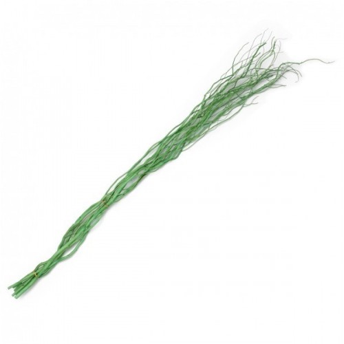 Lot de 18 branches de saule Salix