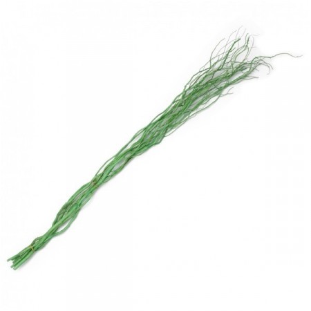 Lot de 18 branches de saule Salix