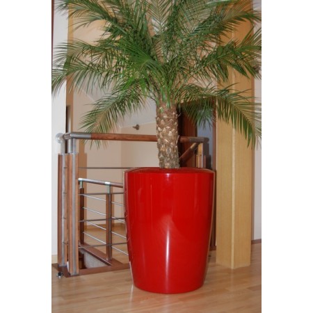 pot rouge