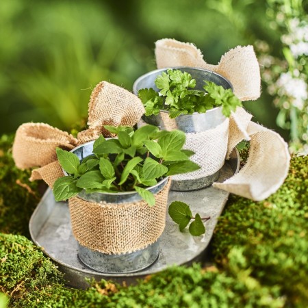 Bande toile de jute Naturel et ecrue