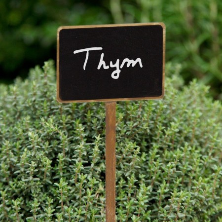 Etiquette marque plante ardoise et bois lasuré herbe aromatique thym