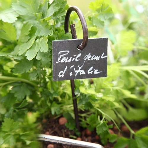marque plante, etiquette Ardoise naturelle 9.5 x 7