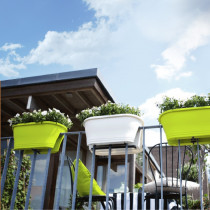 Jardinière Balcon Citron Vert 2 faces 2