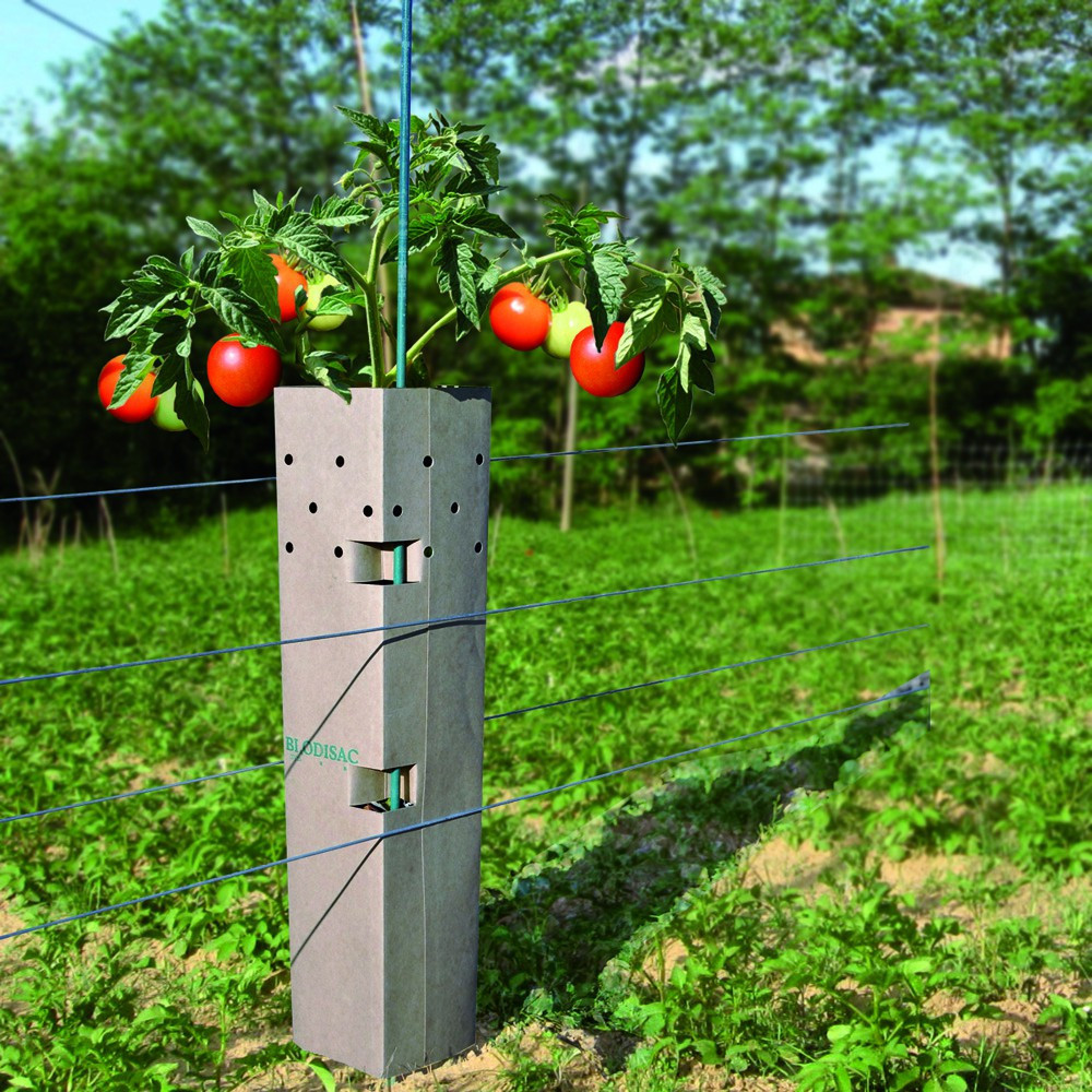 Voile de protection durable pour plants de tomates