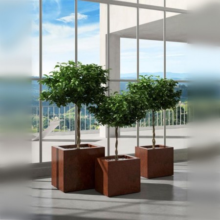 Jardiniere Bac a Fleur Cube 40cm terre