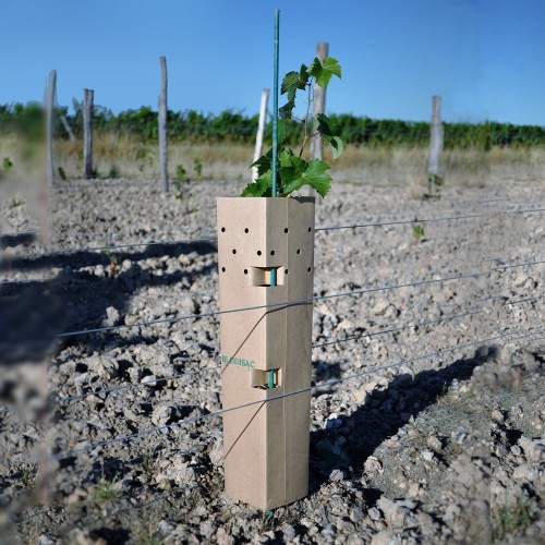 Fourreau de protection  vigne mildiou- 36mois