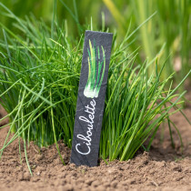 Etiquette Ardoise Potager Ciboulette 2
