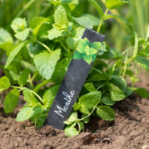 Etiquette Ardoise Potager Menthe 2