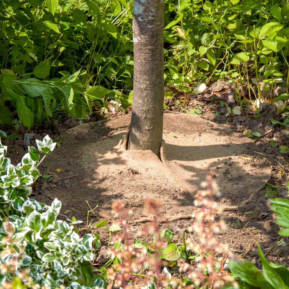 Toile de paillage synthétique ou biodégradable ?