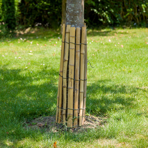 Protection Tronc d'Arbre h 60 cm