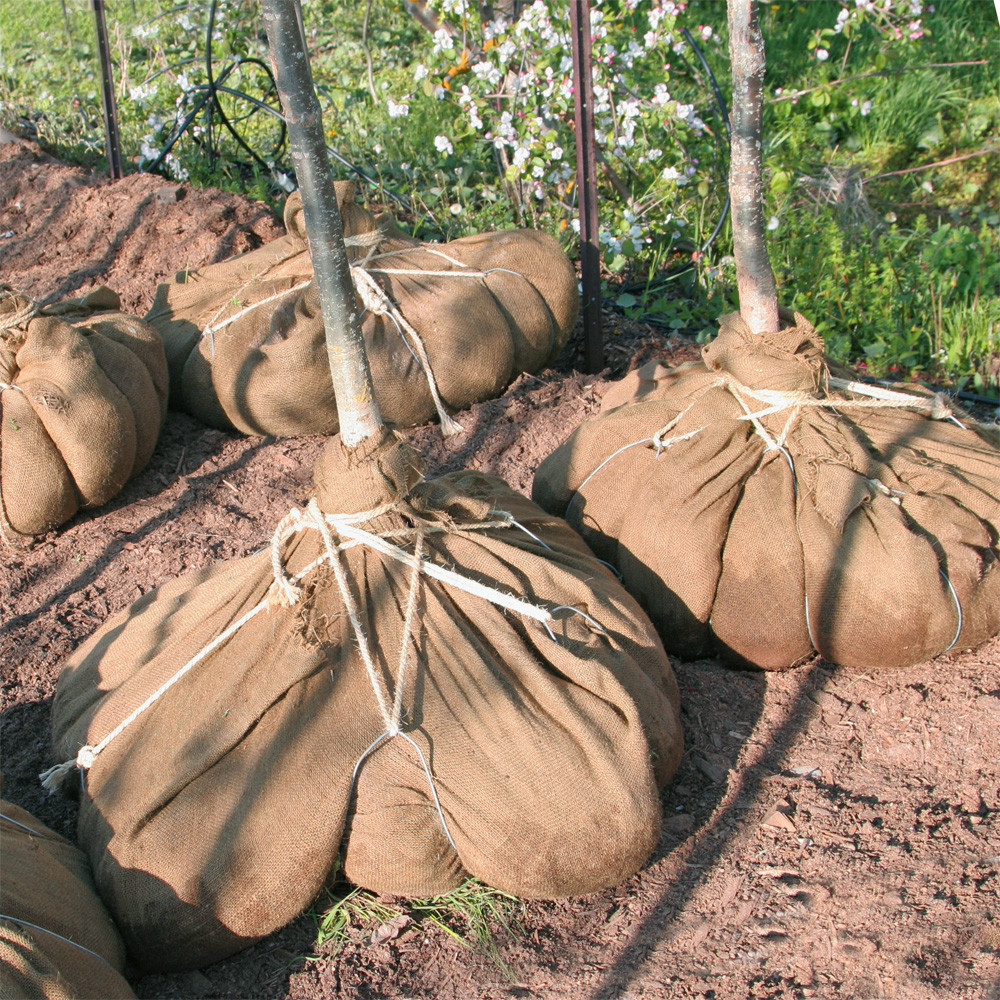 Toile De Jute Coloris Naturel