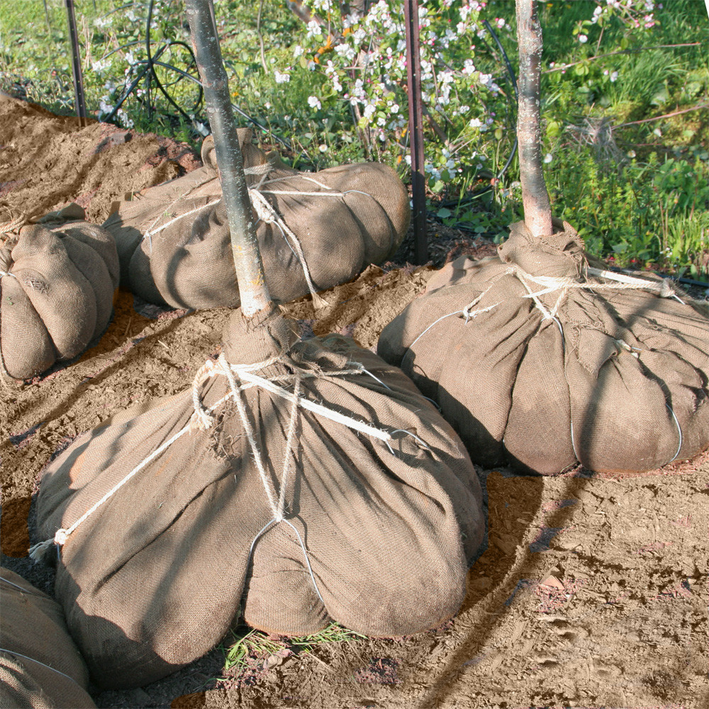 TERRE JARDIN Rouleau géotextile 10 mètres