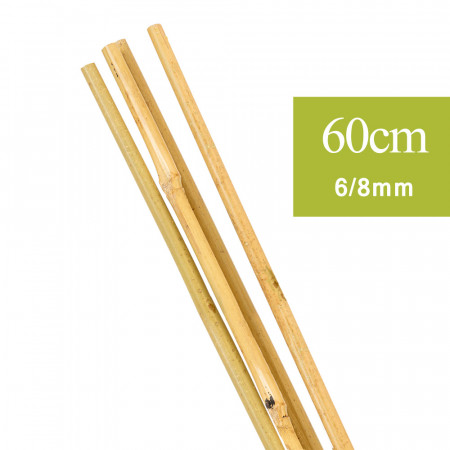 Tuteur Plante en Bambou naturel 60 cm