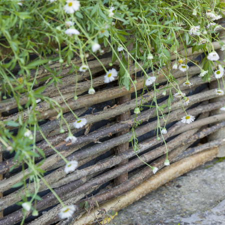 bordure en bois pour le jardin