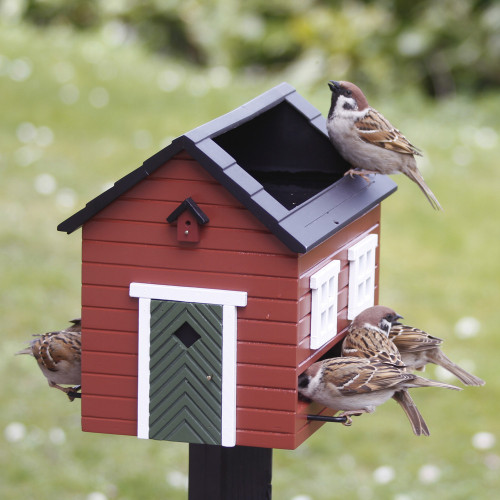 Maison avec baignade pour oiseaux