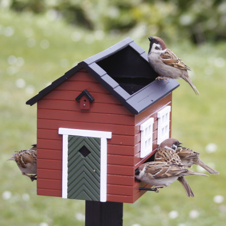 Mangeoire oiseaux - Côté Maison