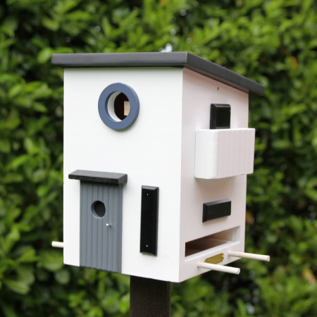 maison aux oiseaux avec nichoir 2