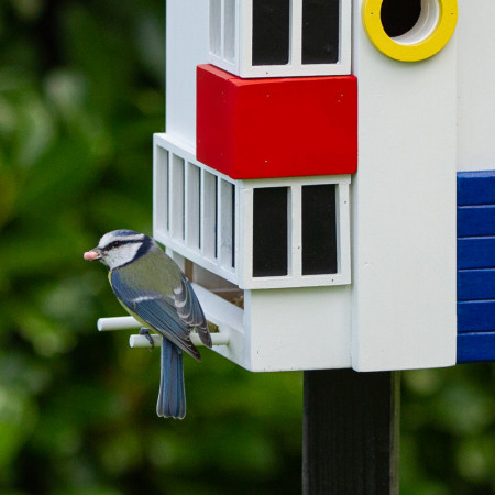 Mangeoire à Oiseaux d'Extérieur