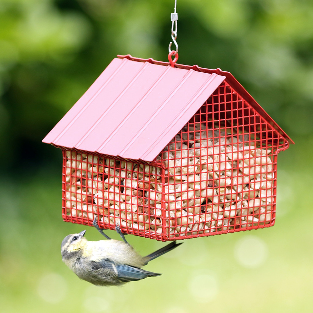 Mangeoire a Oiseaux avec Toit Amovible en Bois - Nichoir a Oiseaux