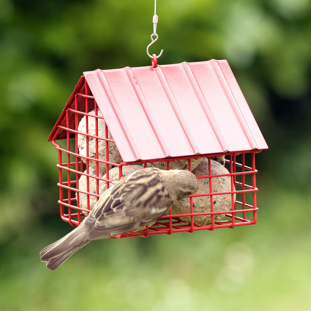 mangeoire boule de graisse oiseau / pic décoratif pour le jardin