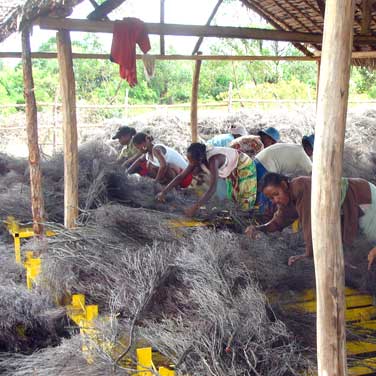 fabrication de brise vue bruyere en brande