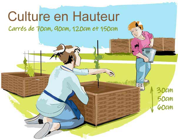 carré de culture potagère en hauteur 60cm