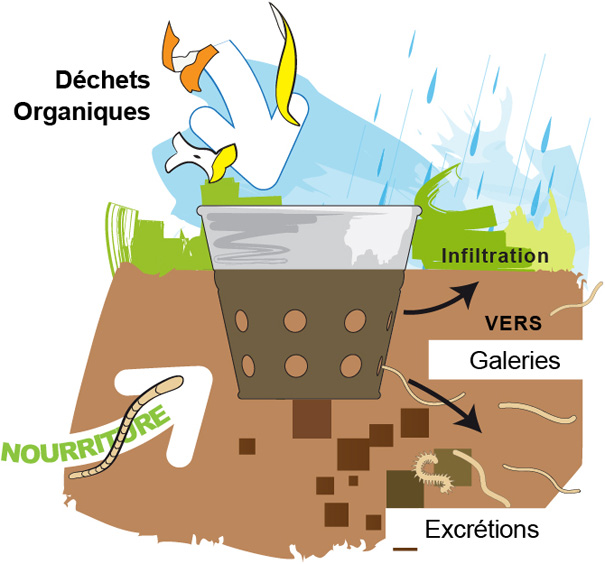 Compost pour Vers de Terre