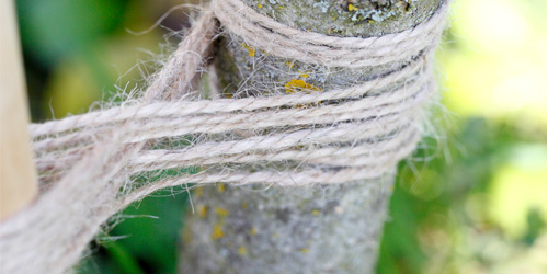 ficelle jute jardin, palissage et tuteurage